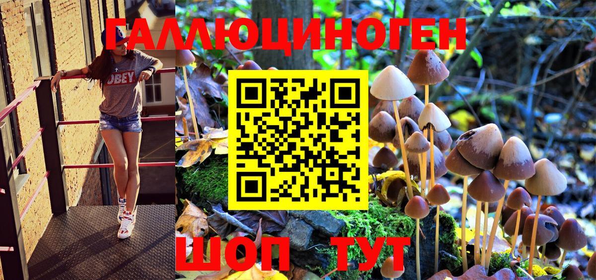 Галлюциногенные грибы Psilocybe Сланцы